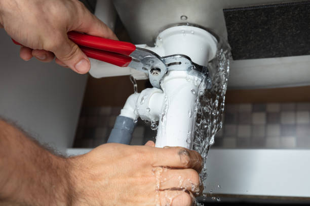 Best Professional water damage repair  in Olmsted Falls, OH