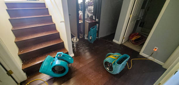 Best Local water damage restoration  in Olmsted Falls, OH