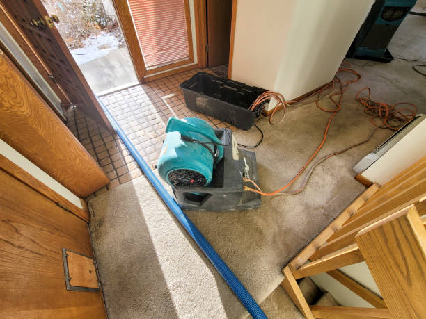 Best Carpet water damage restoration  in Olmsted Falls, OH