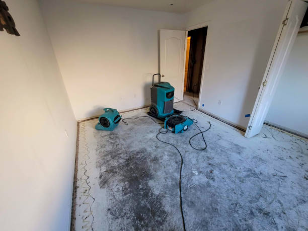 Best Water damage restoration near me  in Olmsted Falls, OH