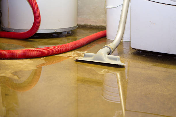 Best Residential water damage restoration  in Olmsted Falls, OH