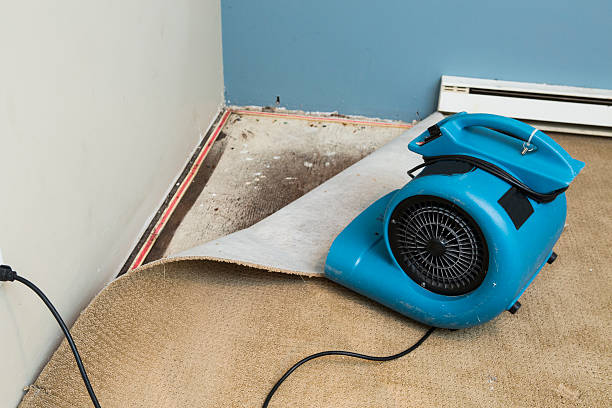 Best Mold removal after water damage  in Olmsted Falls, OH